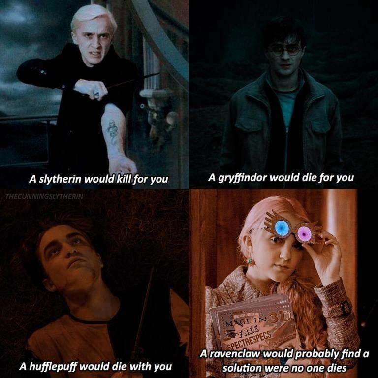 This meme is a humorous take on the classic "You are [insert profession] because [insert reason]" meme. The text reads: "A Slytherin would kill you, a Gryffindor would die for you, a Hufflepuff would die with you, and a Ravenclaw would probably find a solution where no one dies."